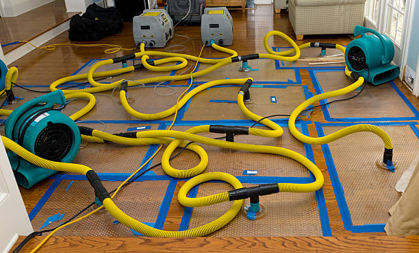 Professional Water Damage Restoration technician working in Lakeland, GA